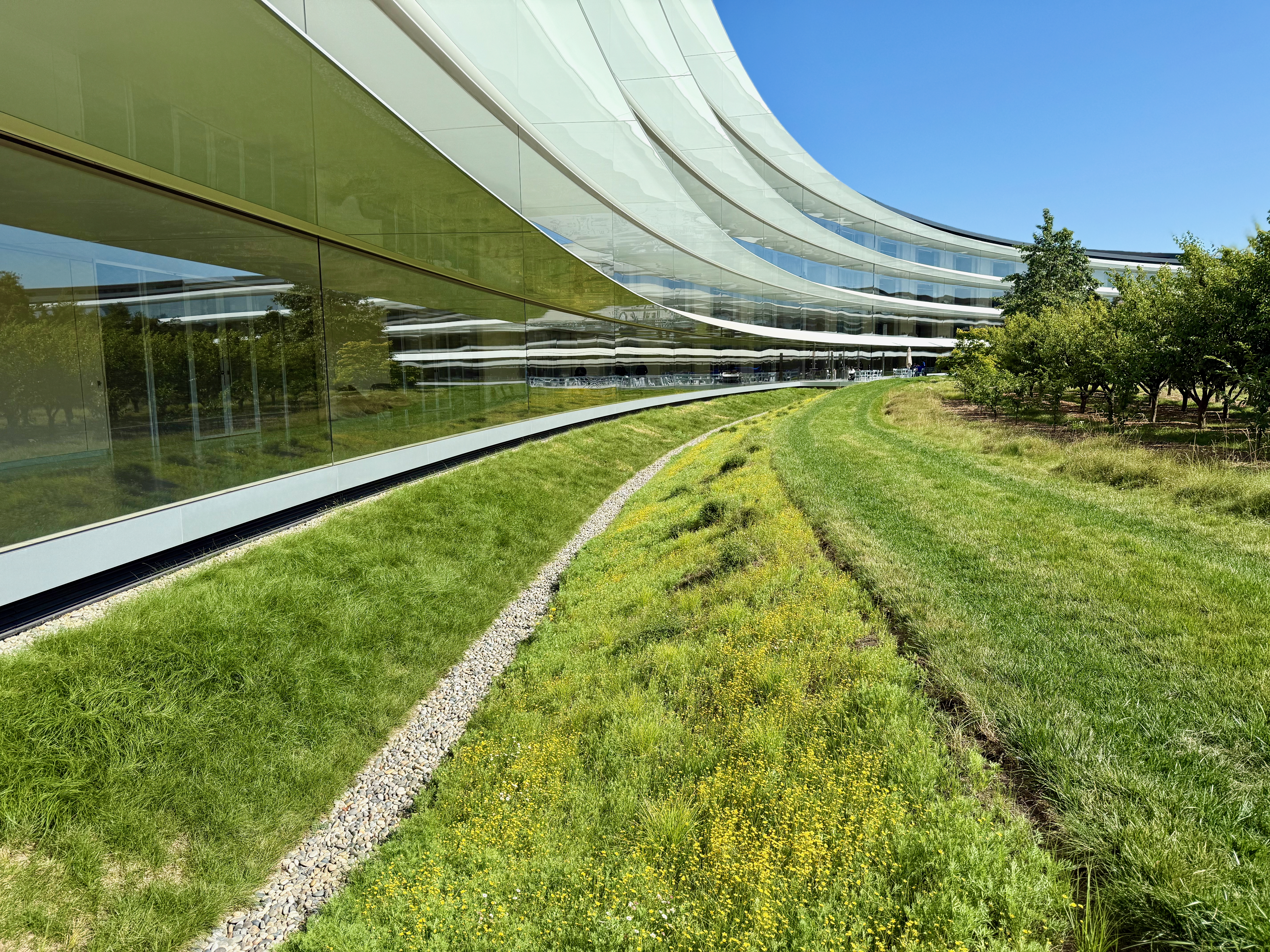 Apple Park 1