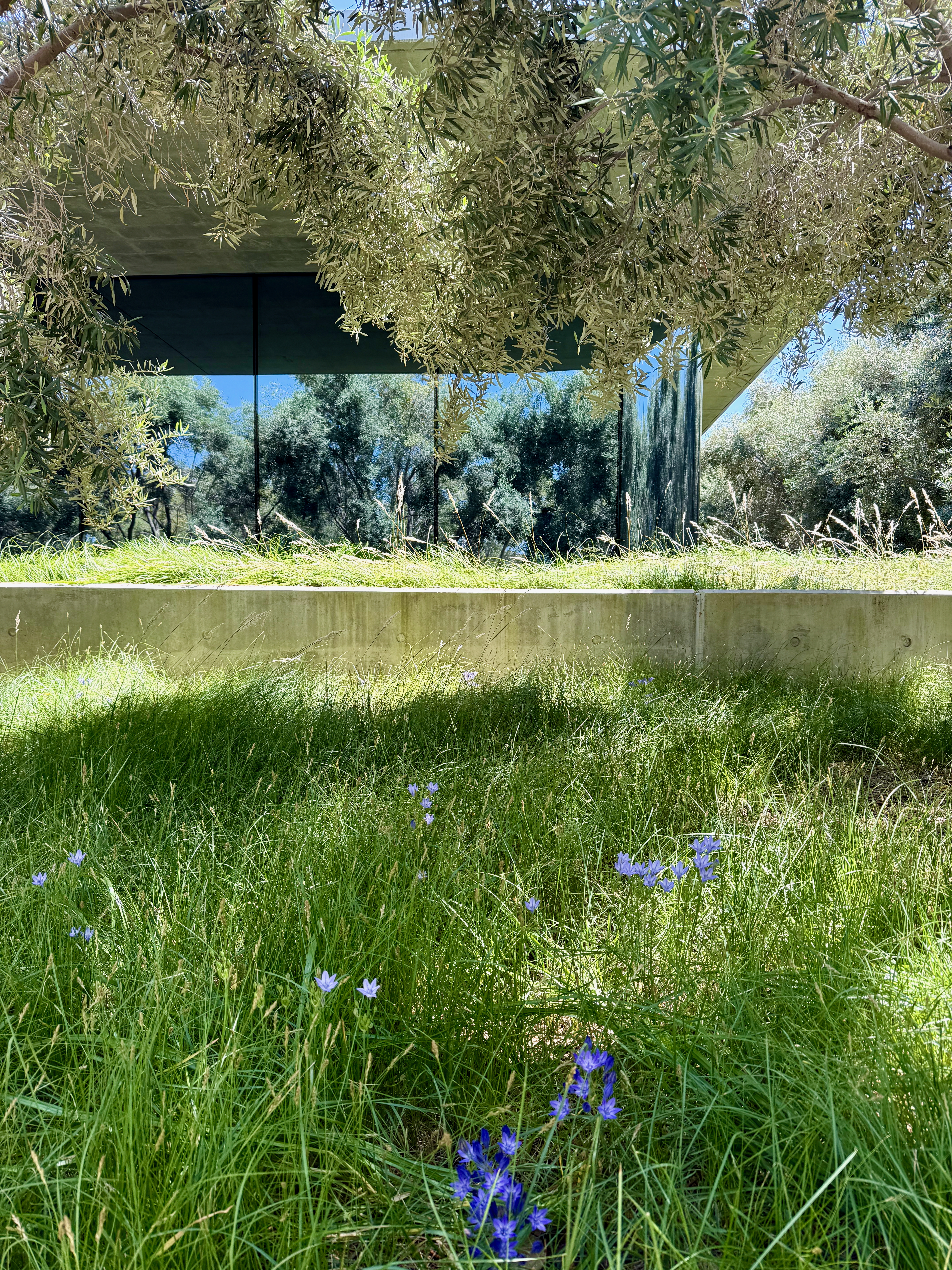 Apple Developer Center